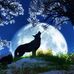 Amber DeVries - Facebook