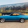 Amber Deweese277 - @amberdeweese277 - TikTok