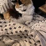 Amber Deweese - Facebook