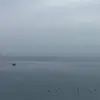 amber.dinh - @amber.dinh - TikTok