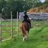 🇳🇱★❤️𝐅𝐋𝐈𝐓𝐒𝐄𝐑❤️★🇳🇱 - @amber.dirks1 - TikTok