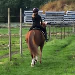 Amber dirks - @ambertjee.de.flitser.lover - Instagram