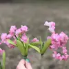 amberdirks99 - @amberdirks99 - TikTok