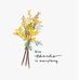 Amberlea Dirks - Facebook