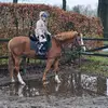 💞flitser💞 - @amber.dirks3 - TikTok