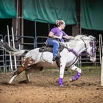 Amber Dishman - @ntv.barrelracer - Instagram