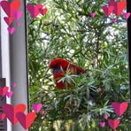 Amber Dobson - Facebook