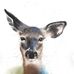 Amber Doe - Facebook