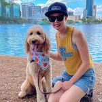 Amber- Dog Friendly Orlando FL - @orlandoodle - Instagram