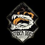Amber Dogs - @amber.dogs - Instagram