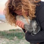 Amberdog | Hundeshop - @amberdog_shop - Instagram