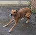 Amber Doig - Facebook