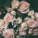 Amber Drew Photography - @amberdrewphoto - Instagram