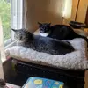 amberdudley - @amberdudley - TikTok