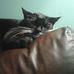 Amber Duncan - Facebook