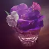 Amber Edgar - @amberedgar12 - TikTok