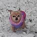 Amber Elsner - Facebook