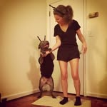 Amber Emanuel - @ambersky - Instagram