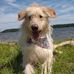 Amber Engel - Facebook
