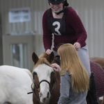 Amber Ennis - @aec_equestrian - Instagram