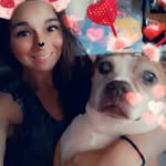 Amber Hensley - @hensleyamber26 - Instagram