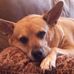 Amber Epps - Facebook