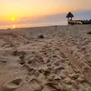 amberepstein - @momoammer - TikTok