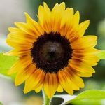Amber Erwin-Vaughn - @ambam3386 - Instagram