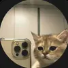 Amber Espinoza - @amber.espinoza2 - TikTok