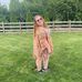 Amber Etzel - Facebook