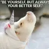 amberevanson915 - @amberevanson915 - TikTok