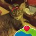Amber Ewald - Facebook