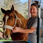 Amber Failla -Failla Equine Solutions - @amberequinetherapist - Instagram