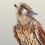 Анастасия Посаженникова - @the_amber_falcon - Instagram