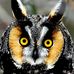 Amber Falconer - Facebook