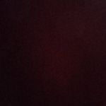 Amber Faraz - @amberfaraz2 - Instagram