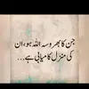 amber faraz - @ambreenghazal06 - TikTok
