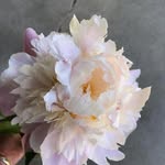 Художник • Картины с цветами - @amber_fineart - Instagram