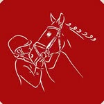 Amber Forrest - @aforrest.equestrian - Instagram