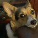 Amber Fortner - Facebook