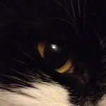 Amber Fortner - @amf555007 - Instagram