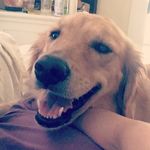 Amber - @amber_fudgecicles - Instagram