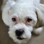 @amber_ginny_nelly_fudge_fan - Instagram