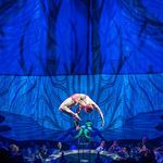 Amber Rose Gallagher - @cirquedesoleil.puertovallarta - Instagram