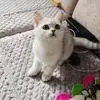 Amber Garrison - @30193438401 - TikTok