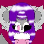 Amber Gatlin - @wizamberhusky - Instagram