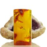 German Amber Collector - @germanamber - Instagram