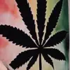 Ambergipson - @thotpatrol.33 - TikTok