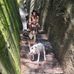 Amber Goff - Facebook
