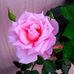 Amber Goodenough - Facebook